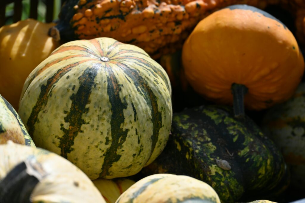 Short Sale Vs Foreclosure Red Deer, Foreclosure Or Short Sale Red Deer, Red Deer Foreclosure Options, Red Deer Short Sale Help, Difference Between Short Sale And Foreclosure Red Deer, Foreclosure Vs Short Sale Red Deer, Selling Your Home Red Deer Foreclosure, Red Deer Real Estate Foreclosure Guide