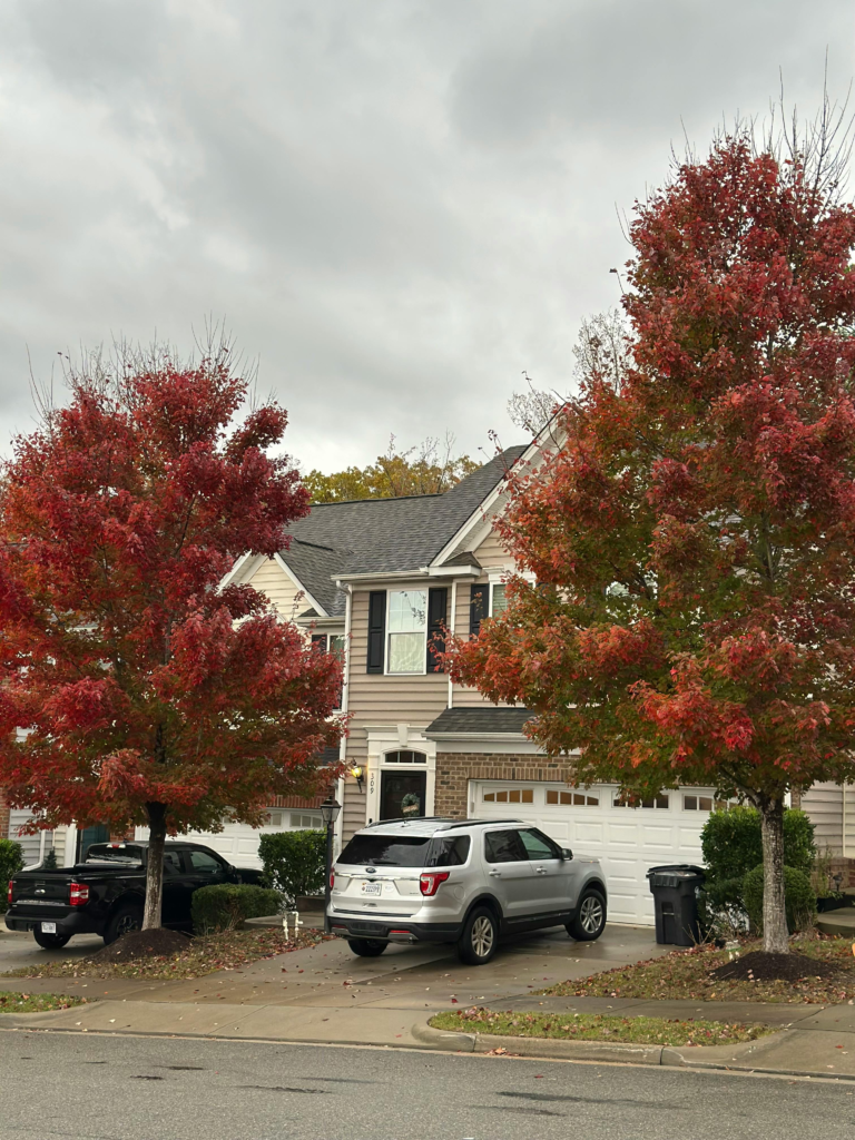 Foreclosure Impact Richmond BC Real Estate, Foreclosure Risks For Sellers Richmond BC, How Foreclosures Affect Sellers Richmond BC, Richmond BC Foreclosure Effects, Richmond Foreclosed Property Market For Sellers, Seller Guide Foreclosed Property Richmond, Selling A Home After Foreclosure Richmond, What Sellers Must Know About Foreclosures Richmond