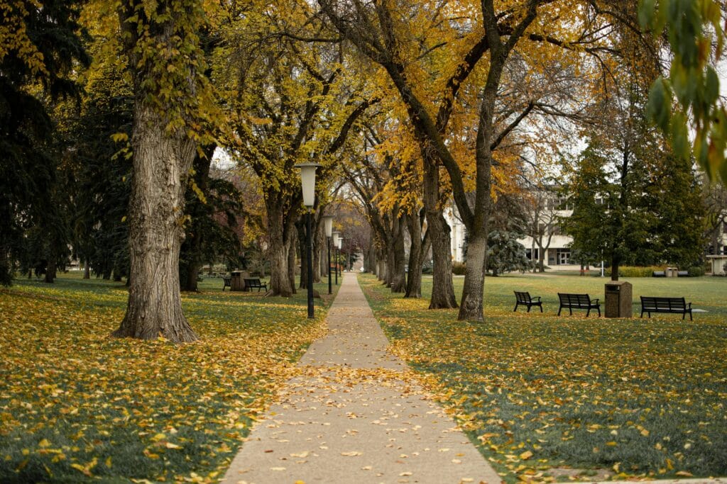 Avoid Foreclosure Edmonton AB, Edmonton Foreclosure Help, Edmonton Real Estate Foreclosures, Edmonton Short Sale Experts, Sell House Before Foreclosure Edmonton, Short Sale Edmonton Alberta, Short Sale Process Alberta, Short Sale vs Foreclosure Edmonton