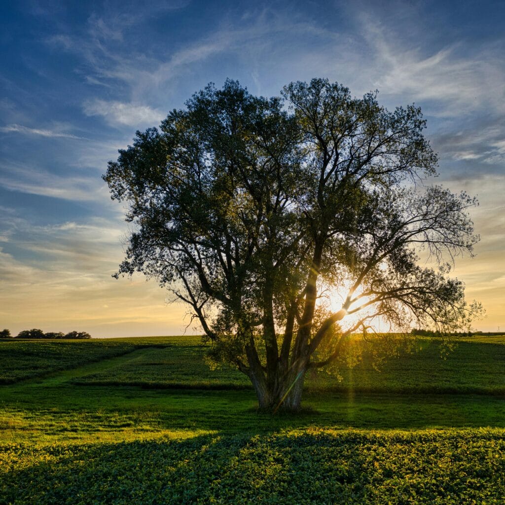Avoid Foreclosure Red Deer AB, Foreclosure vs Short Sale Red Deer, Red Deer Foreclosure Help, Red Deer Real Estate Foreclosures, Sell My House Before Foreclosure Red Deer, Short Sale Process Alberta, Short Sale Red Deer Alberta, Which is Better Foreclosure or Short Sale Red Deer