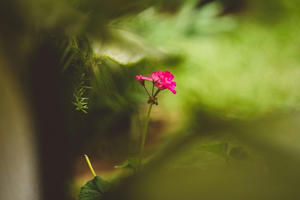 Sell My House in Foreclosure Surrey, Can I Sell My Home During Foreclosure Surrey, Stop Foreclosure Surrey, Avoid Foreclosure Surrey BC, Foreclosure Help Surrey Homeowners, Sell House Fast Surrey Foreclosure, Surrey Foreclosure Solutions